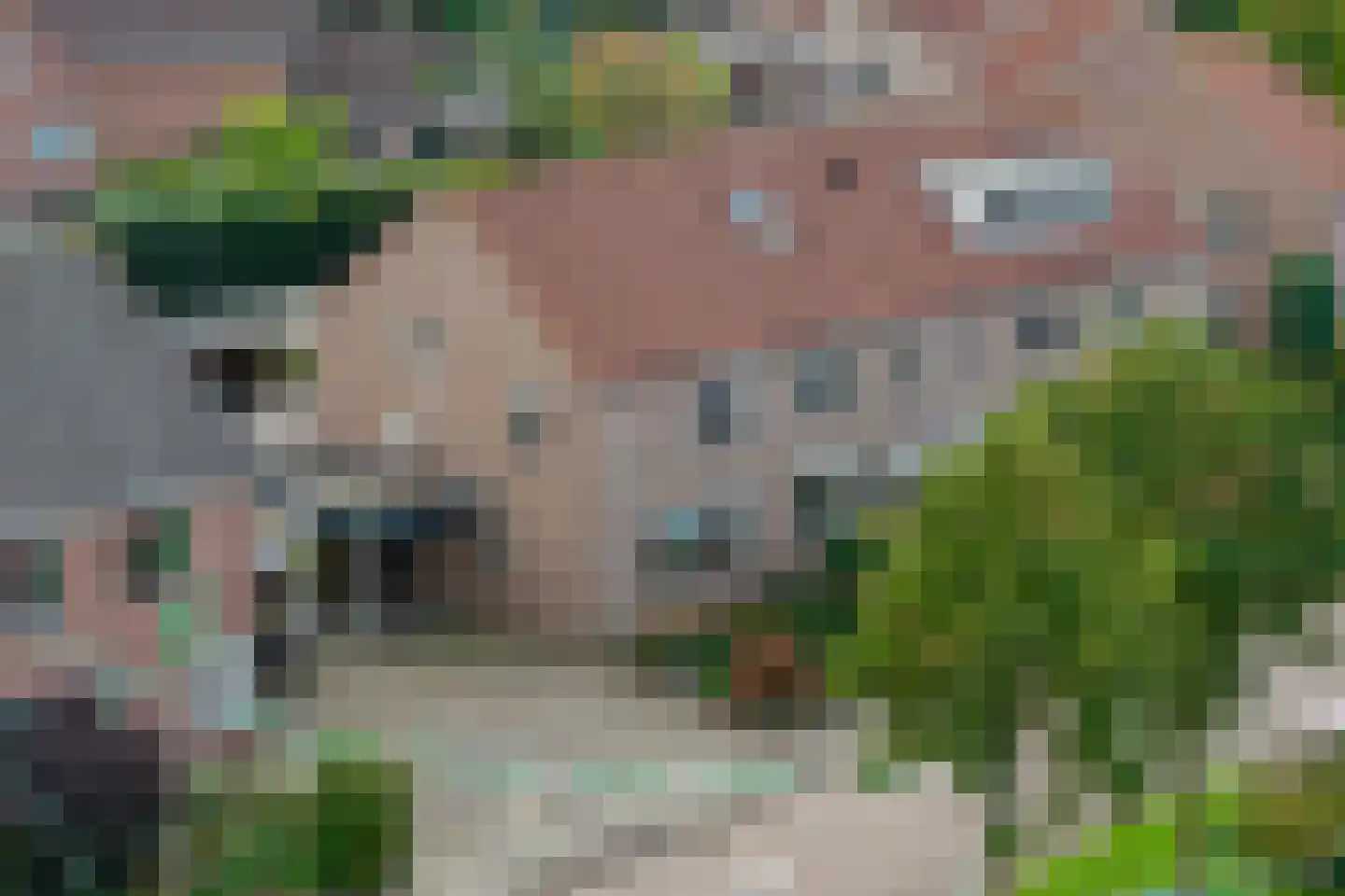 de Lange Slag 13 Heeten thumbnail 28