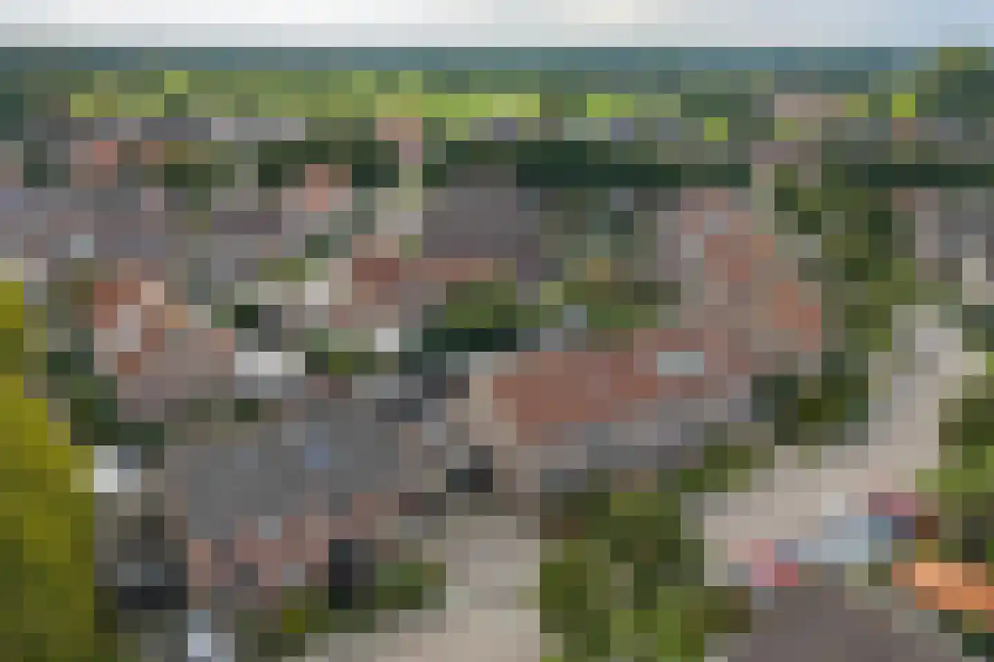 de Lange Slag 13 Heeten thumbnail 29