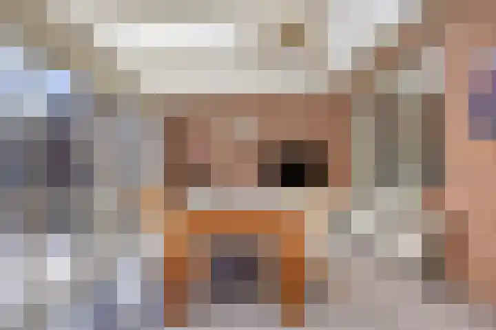 de Lange Slagen 25 Wijhe thumbnail 10
