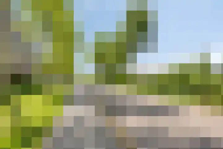 de Lange Slagen 25 Wijhe thumbnail 24