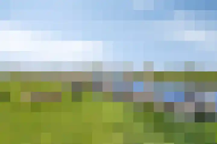 de Lange Slagen 25 Wijhe thumbnail 25