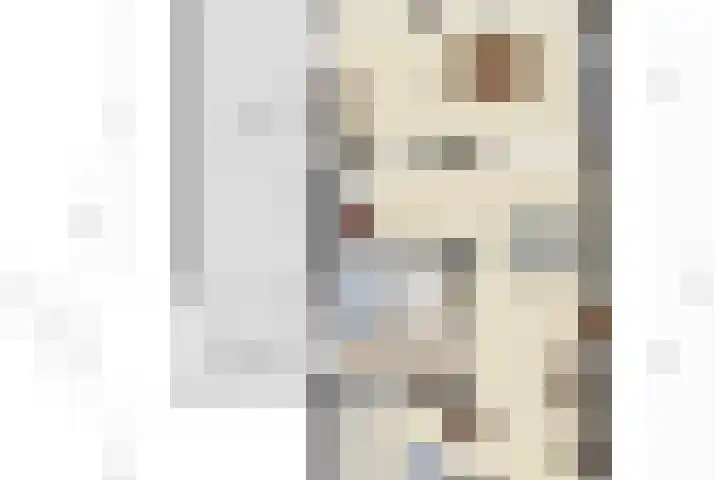 de Lange Slagen 25 Wijhe thumbnail 26