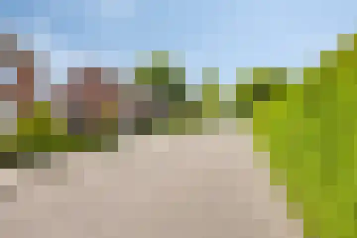 de Lange Slagen 25 Wijhe foto 3