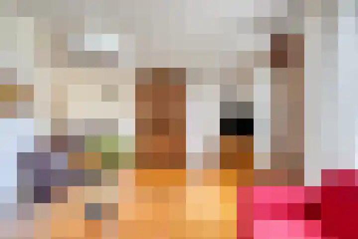 de Lange Slagen 25 Wijhe thumbnail 5