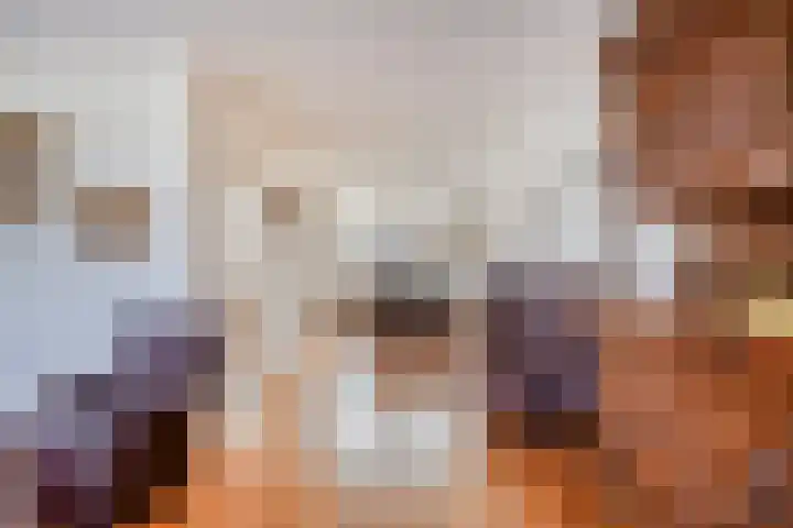 de Lange Slagen 25 Wijhe thumbnail 6