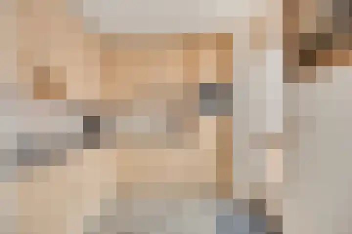 de Lange Slagen 25 Wijhe thumbnail 8