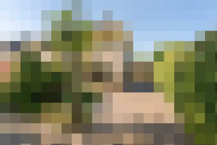 De Lange Streek 42 Swifterbant thumbnail 10