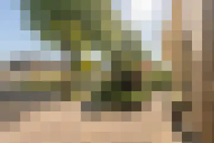 De Lange Streek 42 Swifterbant thumbnail 11