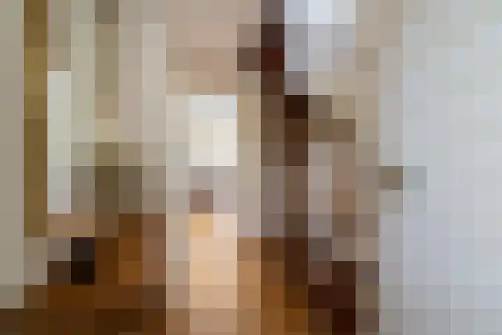 De Lange Streek 42 Swifterbant thumbnail 13