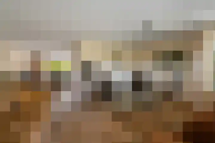 De Lange Streek 42 Swifterbant thumbnail 19