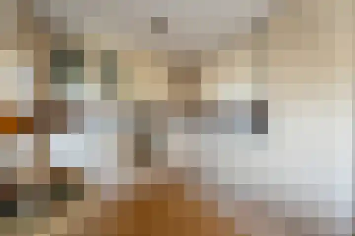 De Lange Streek 42 Swifterbant thumbnail 23