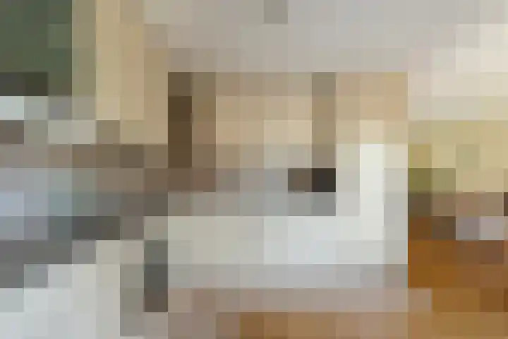 De Lange Streek 42 Swifterbant thumbnail 24