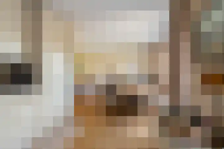 De Lange Streek 42 Swifterbant thumbnail 25