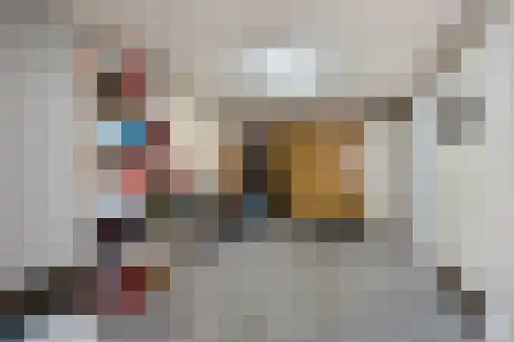 De Lange Streek 42 Swifterbant thumbnail 29