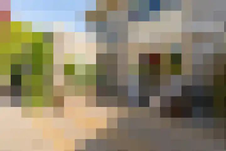 De Lange Streek 42 Swifterbant thumbnail 32