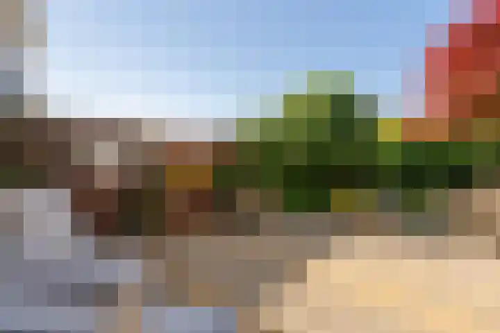 De Lange Streek 42 Swifterbant thumbnail 33
