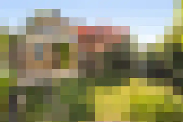 De Lange Streek 42 Swifterbant thumbnail 34