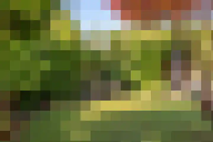 De Lange Streek 42 Swifterbant thumbnail 35