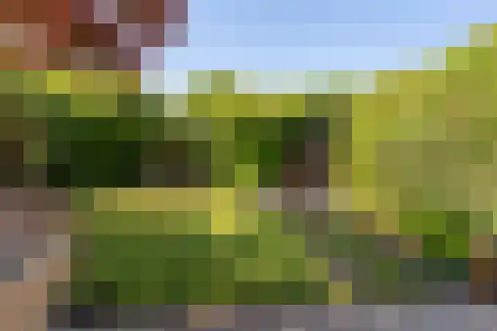 De Lange Streek 42 Swifterbant thumbnail 36