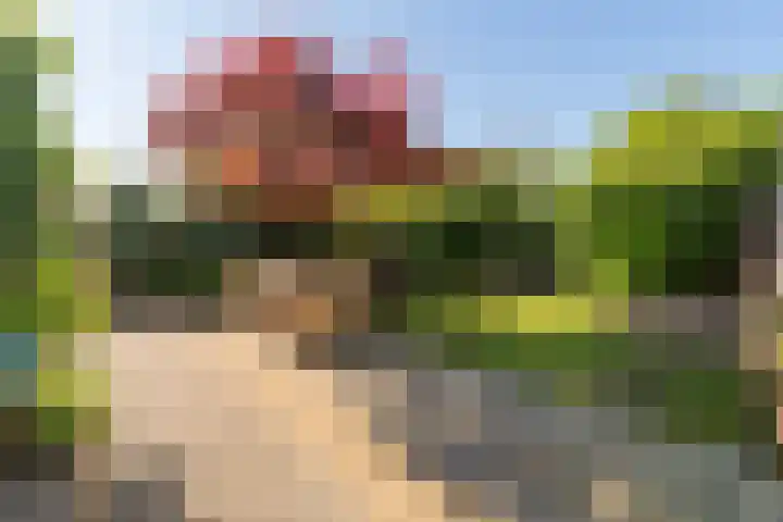 De Lange Streek 42 Swifterbant thumbnail 37