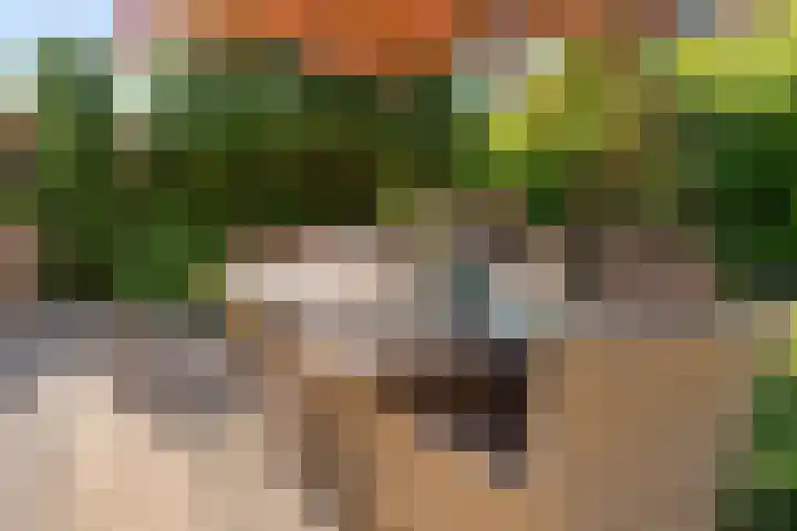 De Lange Streek 42 Swifterbant thumbnail 38