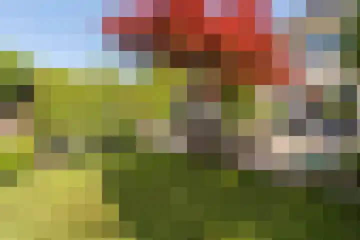 De Lange Streek 42 Swifterbant thumbnail 39