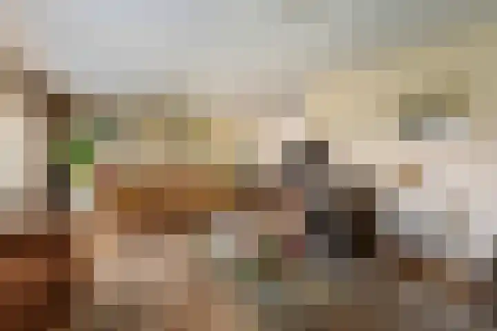 De Lange Streek 42 Swifterbant thumbnail 4