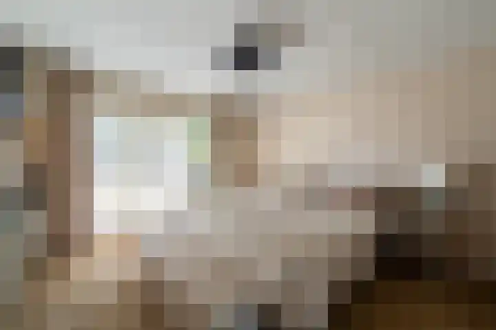 De Lange Streek 42 Swifterbant thumbnail 43