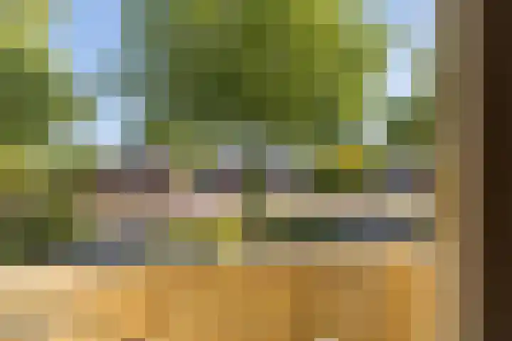 De Lange Streek 42 Swifterbant thumbnail 44