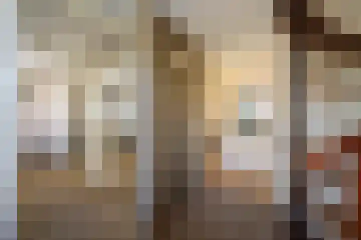 De Lange Streek 42 Swifterbant thumbnail 48