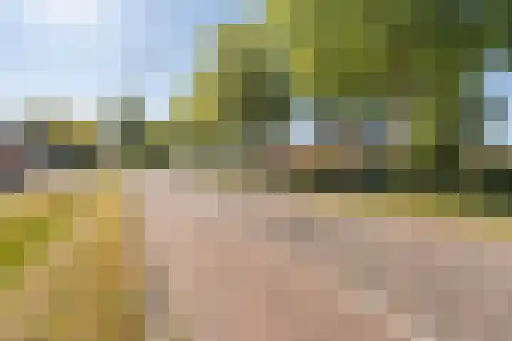 De Lange Streek 42 Swifterbant thumbnail 5
