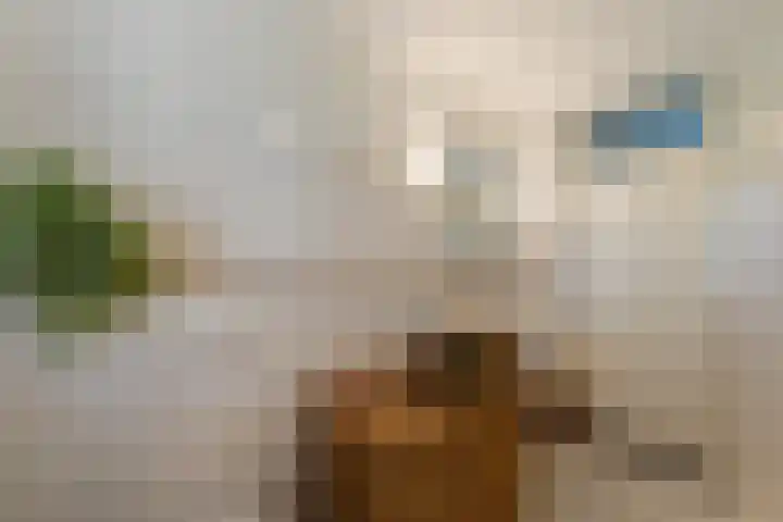 De Lange Streek 42 Swifterbant thumbnail 52