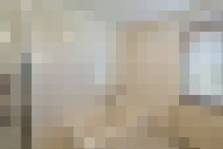 De Lange Streek 42 Swifterbant thumbnail 53