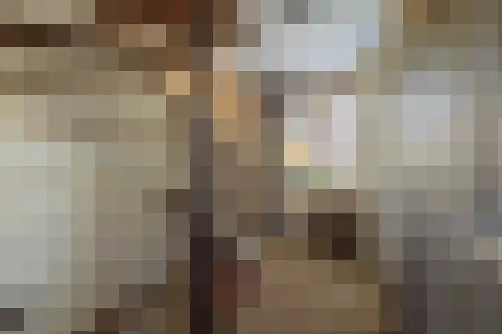 De Lange Streek 42 Swifterbant thumbnail 54