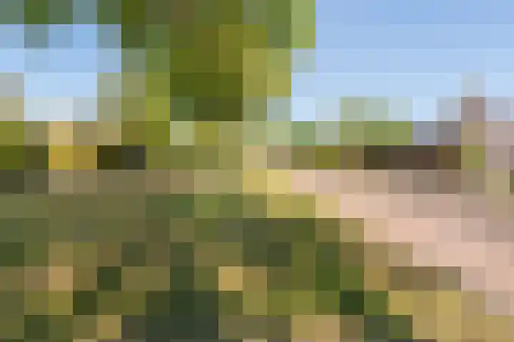 De Lange Streek 42 Swifterbant thumbnail 6