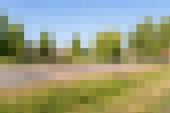 De Lange Streek 42 Swifterbant thumbnail 61