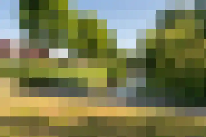De Lange Streek 42 Swifterbant thumbnail 62