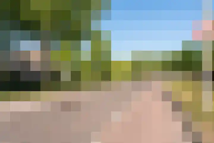 De Lange Streek 42 Swifterbant thumbnail 63