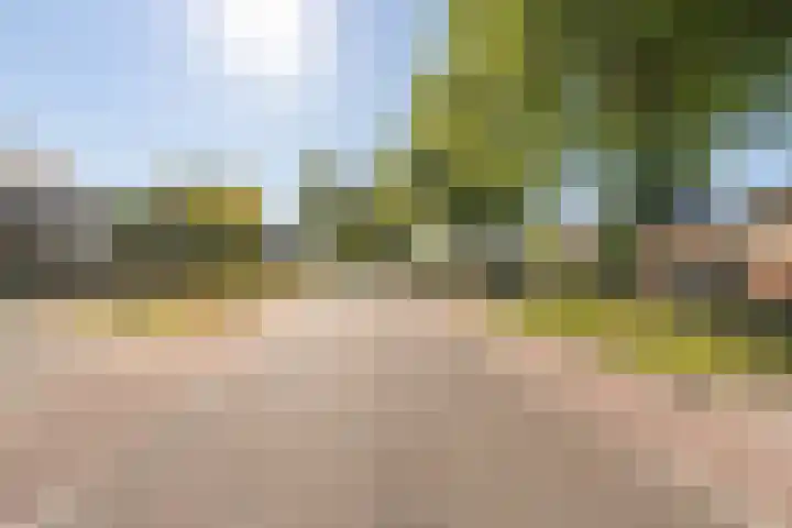 De Lange Streek 42 Swifterbant thumbnail 7