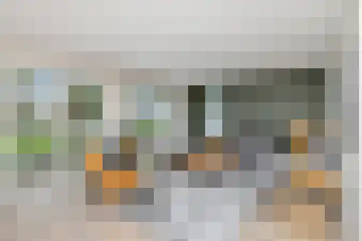 De Lange Streek 44 Swifterbant thumbnail 11