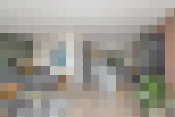 De Lange Streek 44 Swifterbant thumbnail 12