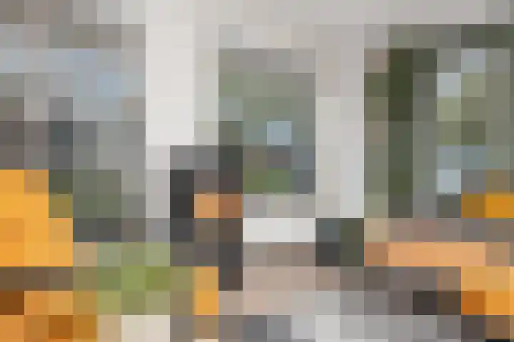 De Lange Streek 44 Swifterbant thumbnail 14