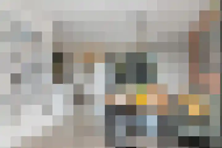 De Lange Streek 44 Swifterbant thumbnail 17