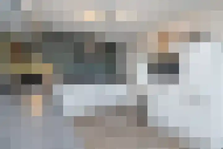 De Lange Streek 44 Swifterbant thumbnail 22