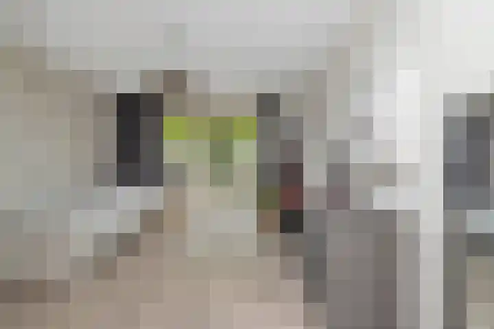 De Lange Streek 44 Swifterbant thumbnail 38