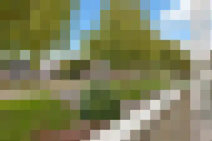 De Lange Streek 44 Swifterbant thumbnail 39