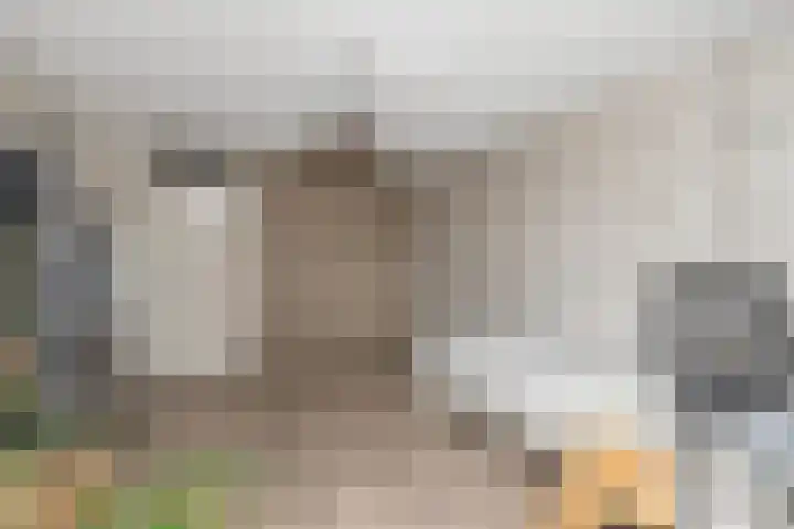 De Lange Streek 44 Swifterbant thumbnail 44