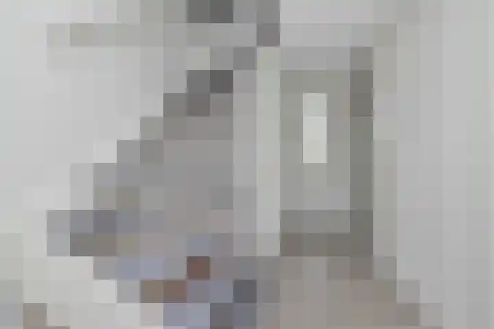 De Lange Streek 44 Swifterbant thumbnail 45