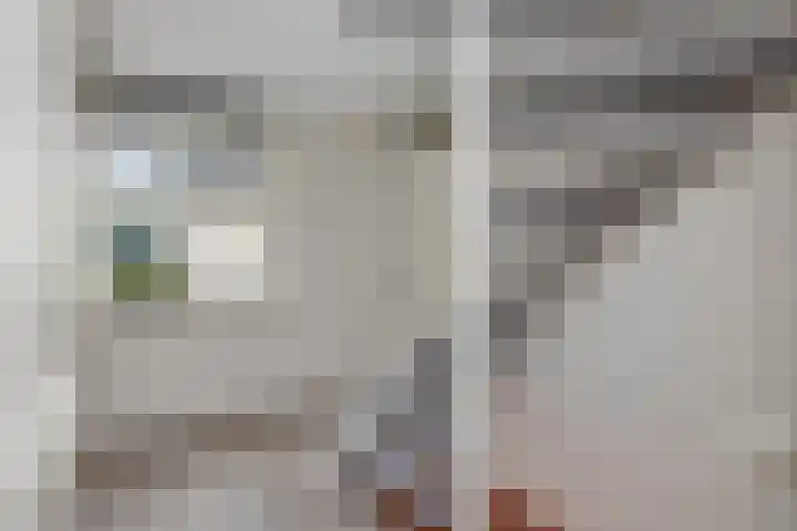 De Lange Streek 44 Swifterbant thumbnail 46