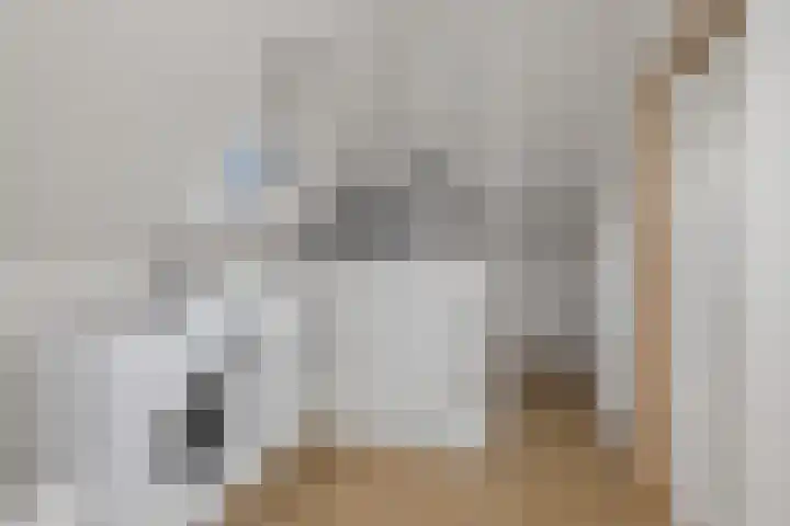 De Lange Streek 44 Swifterbant thumbnail 48